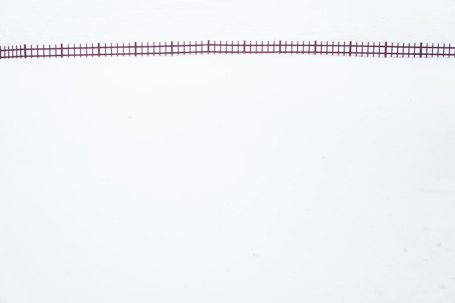 analyze and conclude