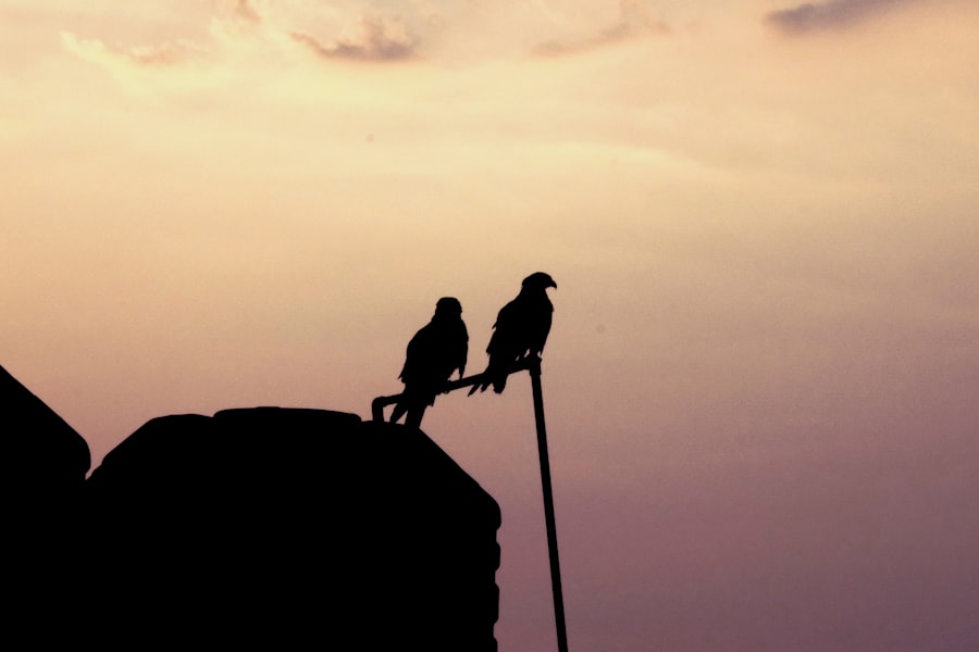 emotional intelligence leadership
