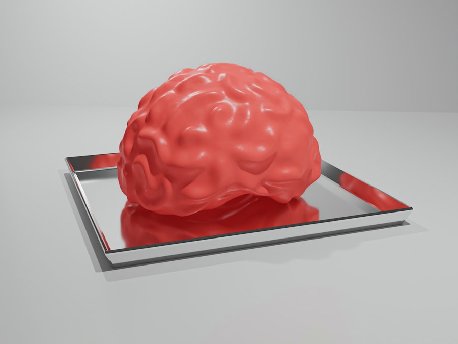 brain development