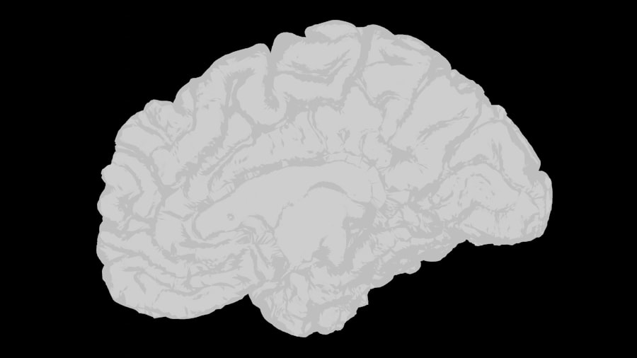 Improve Mental Intelligence