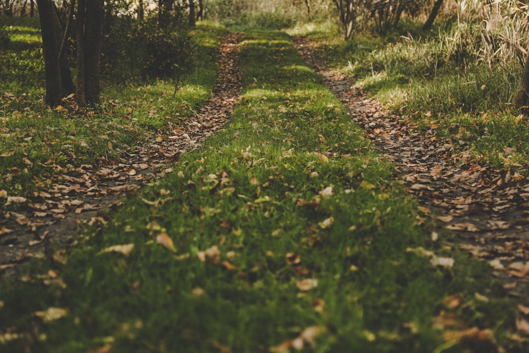 Photo self-learning paths
