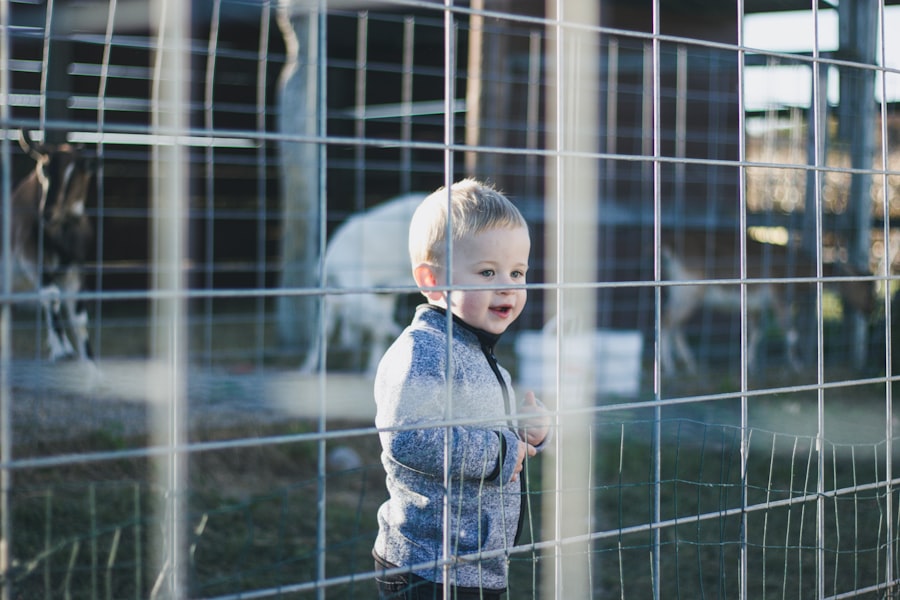 Photo child and animals