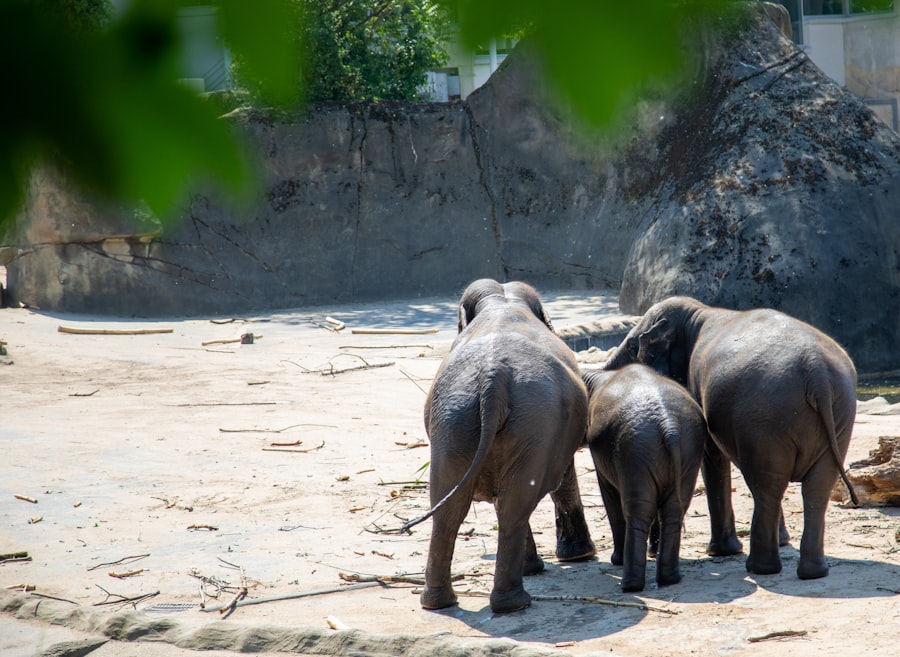 Photo child and family