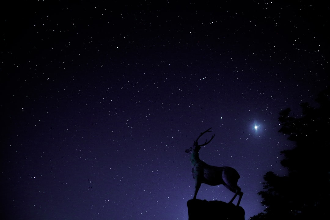 Photo doctor and stars