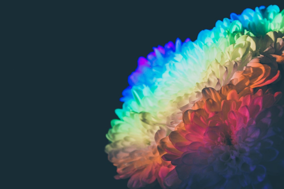 Photo brain development