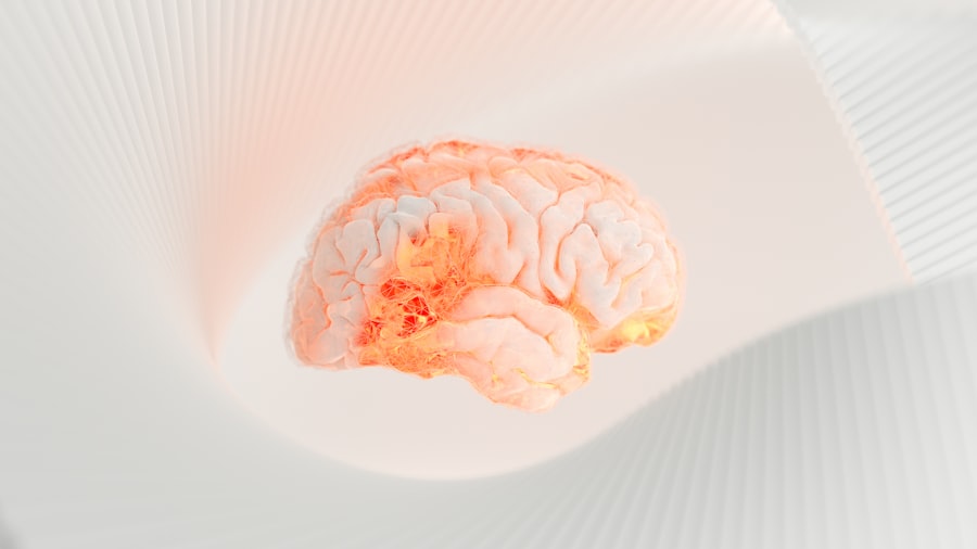 Photo brain development
