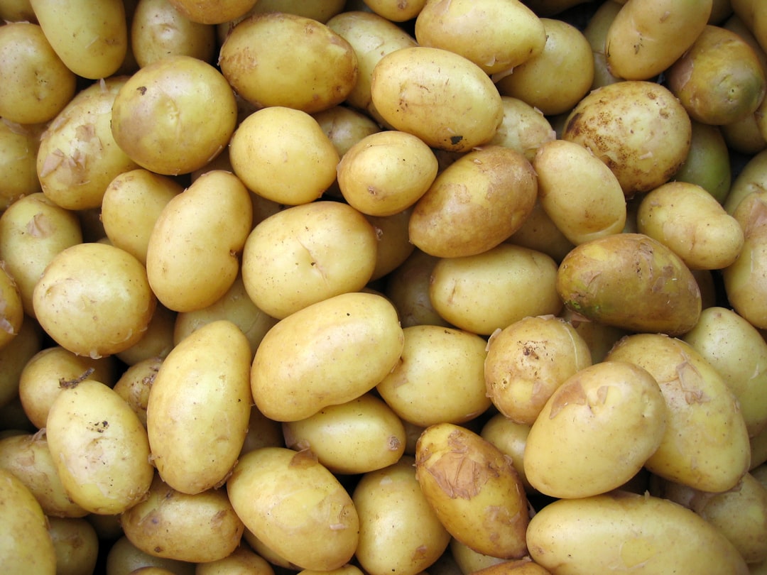 Photo potato kilo