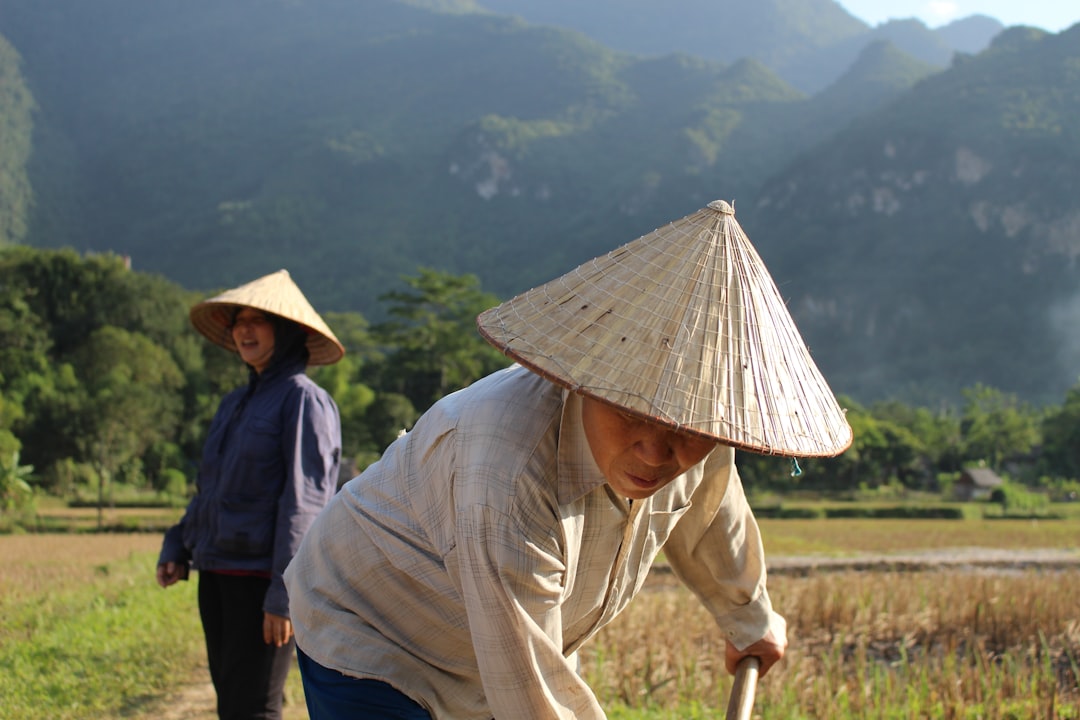 Photo Chinese farmer wisdom