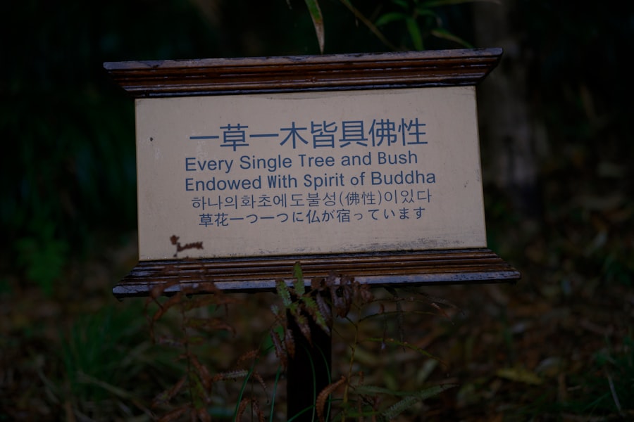 Photo Chinese farmer wisdom