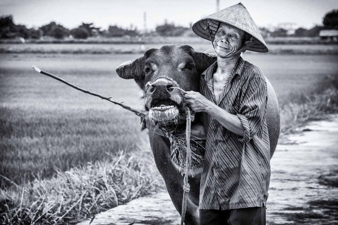 Photo Chinese farmer story