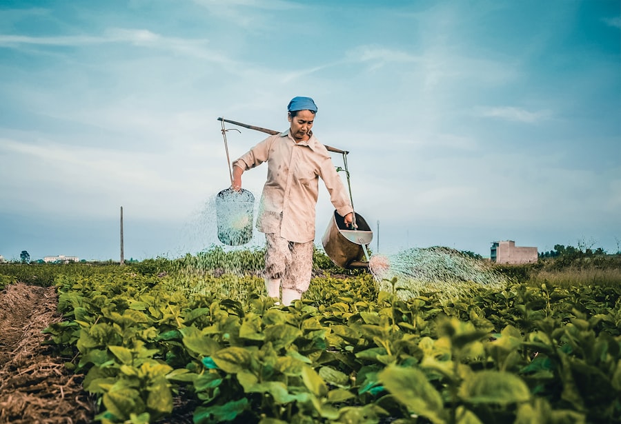 Photo Chinese farmer story