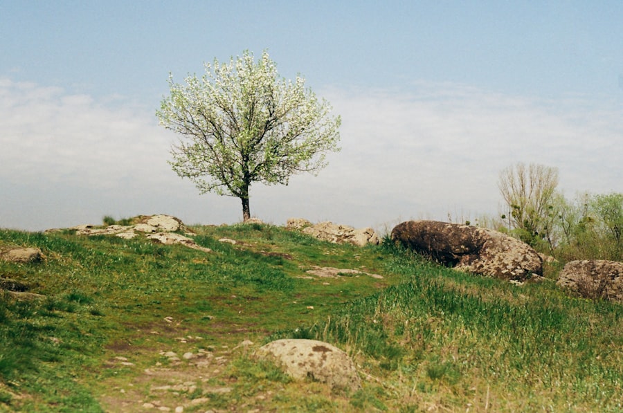 Jahiliyyah period