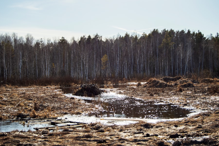 Environmental epochs