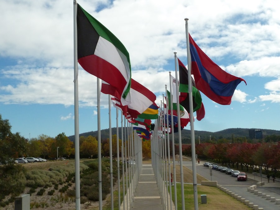 transitional countries