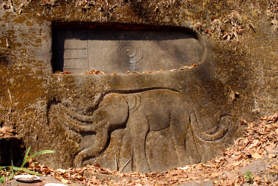 Elephant Years