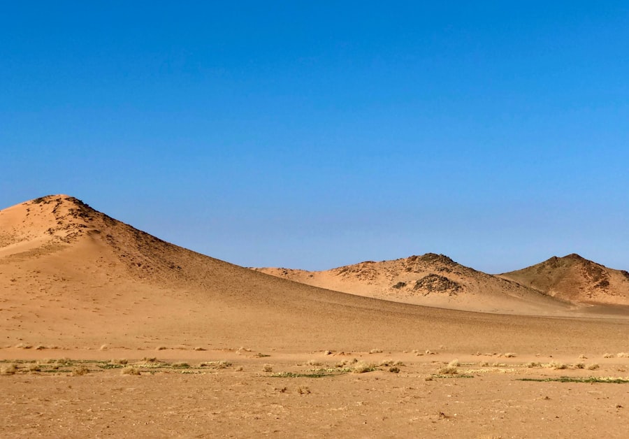Arabian Peninsula