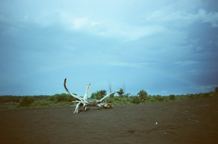 Photo Anthropocene